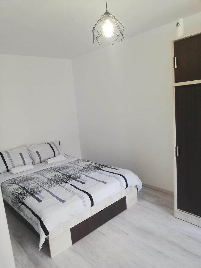 Apartament Brezoi Apartman Kültér fotó
