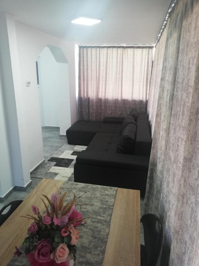Apartament Brezoi Apartman Kültér fotó