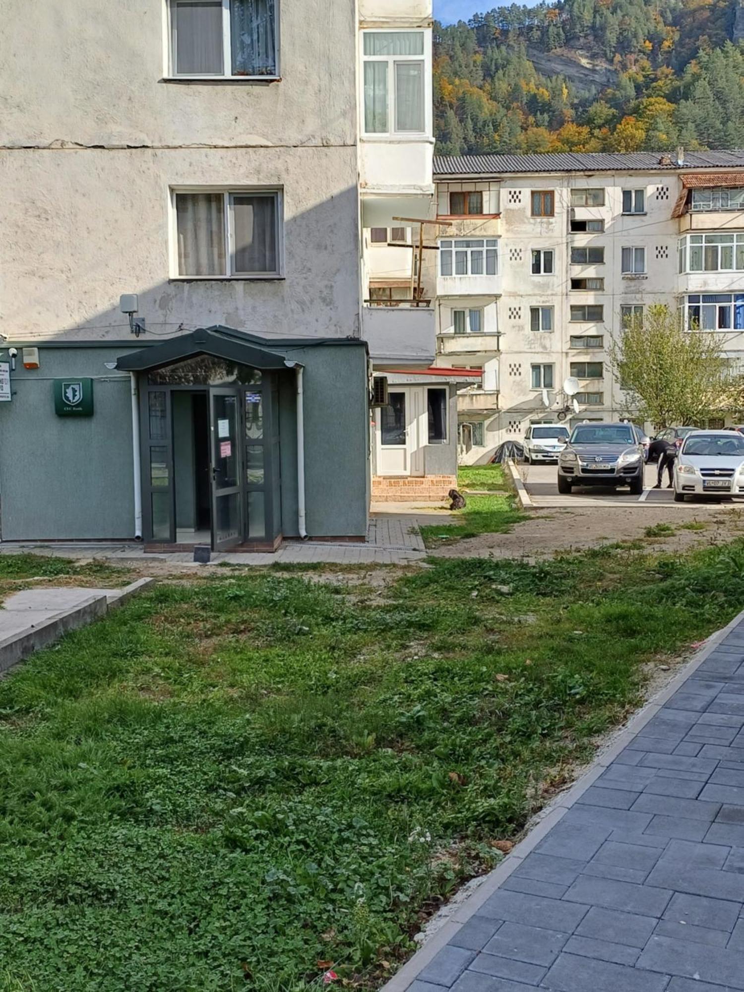 Apartament Brezoi Apartman Kültér fotó